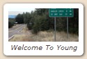 Welcome To Young